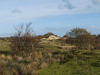 NL, Zeeland, Schouwen-Duiveland, Het Zeepe 16, Saxifraga-Jan van der Straaten