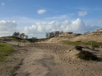 NL, Zeeland, Schouwen-Duiveland, Het Zeepe 2, Saxifraga-Jan van der Straaten