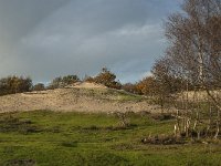 NL, Zeeland, Schouwen-Duiveland, Het Zeepe 22, Saxifraga-Jan van der Straaten