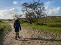 NL, Zeeland, Schouwen-Duiveland, Het Zeepe 6, Saxifraga-Jan van der Straaten