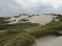 NL, Zeeland, Schouwen-Duiveland, Westenschouwen 7, Saxifraga-Willem van Kruijsbergen