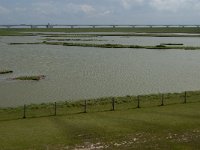 NL, Zeeland, Schouwen-Duivenland, Zeelandbrug 2, Saxifraga-Jan van der Straaten