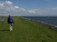 NL, Zeeland, Schouwen-Duivenland, Zuidhoek 3, Saxifraga-Jan van der Straaten