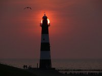 NL, Zeeland, Sluis, Vuurtoren van Breskens 1, Saxifraga-Tom Heijnen