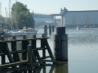 NL, Zeeland, Vlissingen 4, Saxifraga-Jan van der Straaten