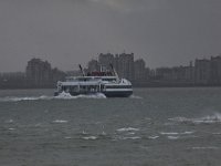 NL, Zeeland, Vlissingen, Westerschelde 2, Saxifraga-Peter Meininger