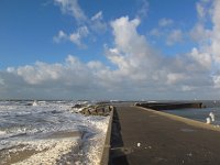 NL, Zuid-Holland, 's-Gravenhage, Zuidhavenhoofd 1, Saxifraga-Bart Vastenhouw