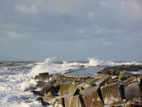 NL, Zuid-Holland, 's-Gravenhage, Zuidhavenhoofd 2, Saxifraga-Bart Vastenhouw