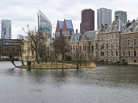 NL, Zuid-Holland, Den Haag, Hofvijver & Binnenhof 2, Saxifraga-Tom Heijnen