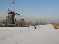 NL, Zuid-Holland, Alblasserdam, Kinderdijk 8, Saxifraga-Jan C van der Straaten