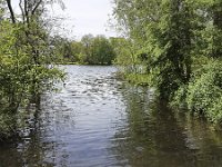 Small lake in Dutch park, Alblasserdam, South Holland, Netherlands  Small lake in Dutch park, Alblasserdam, South Holland, Netherlands : Alblasserdam, Dutch, green, Holland, lake, landscape, natural, nature, Netherlands, no people, nobody, park, pool, rural landscape, small, South Holland, spring, springtime, tree, trees, water