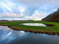 NL, Zuid-Holland, Delft, Klein Delfgauw 1, Saxifraga-Bart Vastenhouw