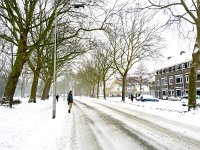 NL, Zuid-Holland, Delft, Wippolder 3, Saxifraga-Bart Vastenhouw