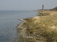 NL, Zuid-Holland, Dirksland, Slikken van Flakkee 15, Saxifraga-Jan van der Straaten