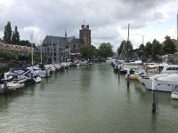 NL, Zuid-Holland, Dordrecht 10, Saxifraga-Willem van Kruijsbergen