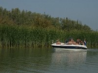 NL, Zuid-Holland, Dordrecht, Doode Kikvorschkil 1, Saxifraga-Jan van der Straaten