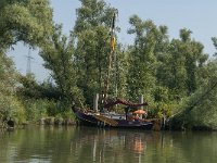 NL, Zuid-Holland, Dordrecht, Doode Kikvorschkil 7, Saxifraga-Jan van der Straaten