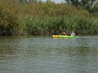 NL, Zuid-Holland, Dordrecht, Helsloot 3, Saxifraga-Jan van der Straaten