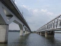 NL, Zuid-Holland, Dordrecht, Moerdijkbrug 15, Saxifraga-Willem van Kruijsbergen