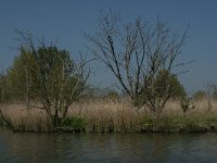 NL, Zuid-Holland, Dordrecht, Oosthaven 7, Saxifraga-Jan van der Straaten