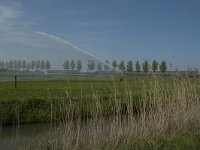 NL, Zuid-Holland, Dordrecht, Polder De Biesbosch 3, Saxifraga-Marijke Verhagen