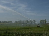 NL, Zuid-Holland, Dordrecht, Polder De Biesbosch 4, Saxifraga-Jan van der Straaten