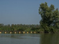 NL, Zuid-Holland, Dordrecht, Polder Stededijk 2, Saxifraga-Jan van der Straaten