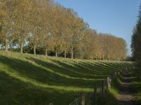 NL, Zuid-Holland, Dordrecht, Zuidplaatje 4, Saxifraga-Marijke Verhagen