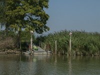 NL, Zuid-Holland, Dordrecht, Zuilespolder 2, Saxifraga-Jan van der Straaten