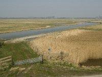 NL, Zuid-Holland, Goeree-Overflakkee, De Vingerling 5, Saxifraga-Jan van der Straaten