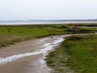 NL, Zuid-Holland, Goeree-Overflakkee, Kwade Hoek 2, Saxifraga-Bart Vastenhouw