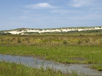 NL, Zuid-Holland, Goeree-Overflakkee, Kwade Hoek 33, Saxifraga-Willem van Kruijsbergen