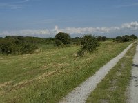 NL, Zuid-Holland, Goeree-Overflakkee, Kwade Hoek 4, Saxifraga-Willem van Kruijsbergen