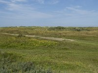 NL, Zuid-Holland, Goeree-Overflakkee, Kwade Hoek 56, Saxifraga-Willem van Kruijsbergen