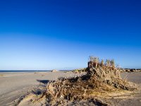 NL, Zuid-Holland, Goeree-Overflakkee, Kwade Hoek 73, Saxifraga-Bart Vastenhouw