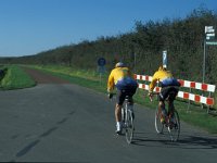 NL, Zuid-Holland, Goeree-Overflakkee, Ouddorp 5, Saxifraga-Jan van der Straaten