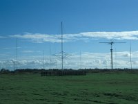 NL. Zuid-Holland, Goeree-Overflakkee, Westduinen 3, Saxifraga-Jan van der Straaten