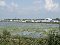 NL, Zuid-Holland, Hendrik-Ido-Ambacht, Sophiapolder 11, Saxifraga-Willem van Kruijsbergen