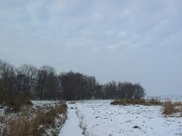 NL, Zuid-Holland, Midden-Delfland 10, Saxifraga-Bart Vastenhouw