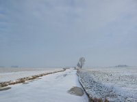 NL, Zuid-Holland, Midden-Delfland 8, Saxifraga-Bart Vastenhouw