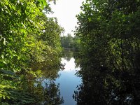 NL, Zuid-Holland, Midden-Delfland, Ackerdijkse Plassen 2, Saxifraga-Bart Vastenhouw