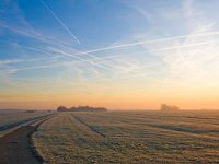 NL, Zuid-Holland, Midden-Delfland, Eendenkooi Schipluiden 2, Saxifraga-Bart Vastenhouw