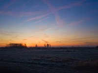 NL, Zuid-Holland, Midden-Delfland, Tanthofkade 3, Saxifraga-Bart Vastenhouw