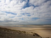 NL, Zuid-Holland, Oostvoorne, Westplaat 1, Saxifraga-Bart Vastenhouw