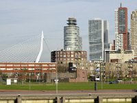 NL, Zuid-Holland, Rotterdam, Erasmusbrug 2, Saxifraga-Tom Heijnen