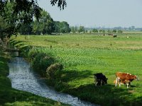 NL, Zuid-Holland, Strijen 2, Foto Fitis-Sytske Dijksen