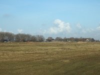 NL, Zuid-Holland, Strijen, Het Oudeland van Strijen 16, Saxifraga-Jan van der Straaten