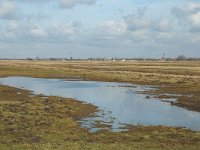 NL, Zuid-Holland, Strijen, Het Oudeland van Strijen 9, Saxifraga-Jan van der Straaten