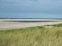 NL, Zuid-Holland, Westland, Ter Heijde 1, Saxifraga-Willem van Kruijsbergen