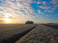 Curved road in winter  Curved road in winter with rimed grass : Netherlands, bend, bent, blue, cloud, color, creative nature, curvature, curve, dawn, deposit, ditch, droplets, dusk, dutch, freezing, frozen, granular, grass, green, holland, ice, landscape, nature, opaque, rime, rimed, road, rounding, rudmer zwerver, rural, sky, sun, sunrise, sunset, trench, turn, water, winter